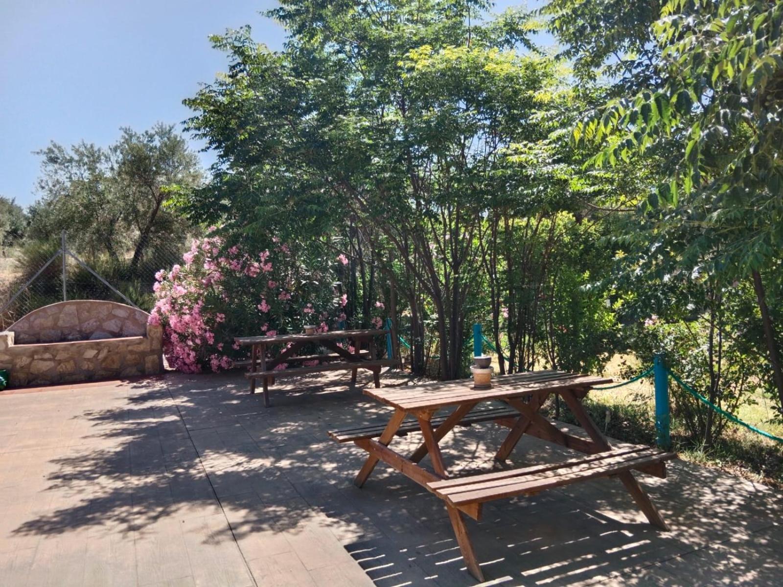 Finca Los Villegas Castril Buitenkant foto